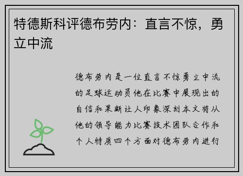 特德斯科评德布劳内:直言不惊,勇立中流